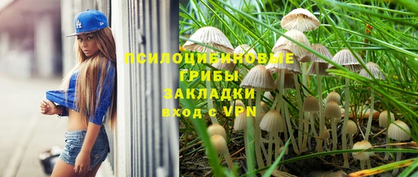 шишки Богданович